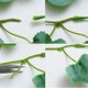thumbnail image 2 of Plantas de vid colgantes de hiedra artificial verde largo para interiores o exteriores, decoración de la pared del hogar, decoración de la pared del jardín, boda 2 piezas Feliz Sencillez, 2 of 4