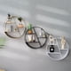 thumbnail image 3 of Estantería de pared de metal Estantería de pared redonda Estantería de pared para almacenamiento Estantería de pared redonda Estantes flotantes Marco Decoración de pared, 3 of 5