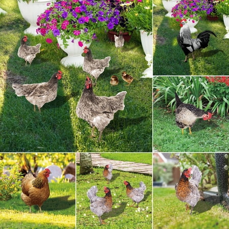 Bobasndm Rooster Decor Garden Statue Metal Chicken Yard Art Sculpture Outdoor Figurines Acrylic Garden Statue Chicken for Yard