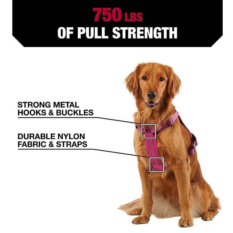 Kong waste bag harness online