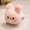 Set D, variant on Magnetic Plush Cat Car Decor, Cute Magnetic Cat Car Decoration, Cute Magnetic Decoration for Dashboard, Side Mirror, Refrigerator, Locker, Funny Animal Lover Gift for