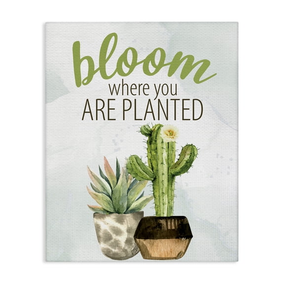 Stupell Industries Farmhouse Bloom Where You Are Planted Cactus Succulent Canvas Art, 16 x 20, by Kim Allen