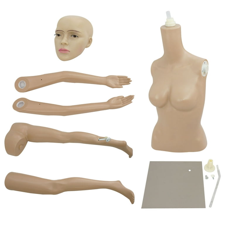 Female Full Body Realistic Mannequin Display Head Turns Dress Form w/Base  F82