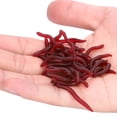 thumbnail image 3 of Cebo de lombriz de tierra, señuelo de pesca de 4 cm, cebo de pesca de mar suave, cebo de pesca, instalación sin esfuerzo Jadeshay A, 3 of 8