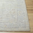thumbnail image 3 of Boutique Rugs Istas Traditional Area Rug - Lambswool, Cloud Gray, Nutmeg - 5' x 7'5", 3 of 6