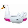thumbnail image 1 of Airhead Float Tube AHPF-3018 AIRHEAD Pool Float - Cool Swan, 1 of 4