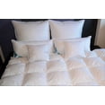 thumbnail image 2 of Goose down bulk feather pillow or duvet filling 90% goose feather 10% goose down pillow filling, 2 of 5