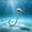 B, variant on FeiBiQiuBi 12 Pack Urchin Bait Hooks, Weighted Sea Urchin Hooks with Barbed Bait Keeper, 3 Sizes 1/0, 4/0 & 5/0 for Fuzzy-Style Soft Plastics and Bass Fishing