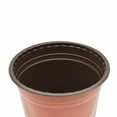 thumbnail image 6 of SPRING PARK 50Pcs Plastic Plant Flower Starting Pots Nursery Seedlings Pot Plant Lightweight, 6 of 6