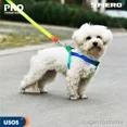 thumbnail image 4 of Correa Con Pechera Para Perro, 1 Cm Ancho, Talla Ch 44294, 4 of 8