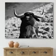 thumbnail image 2 of Designart ' Black and White Portrait Of A Spanish Bull II ' Farmhouse Canvas Wall Art Print, 2 of 4