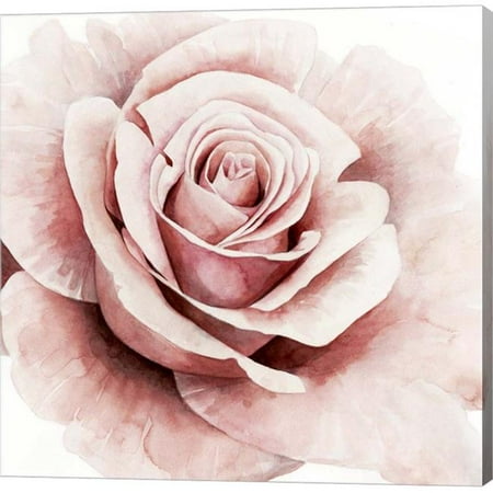 Rose Canvas Wall - Metaverse C947772-0120000-AAAACMA Pink Rose I by Grace Popp Canvas Wall Art - 12 x 12 in.