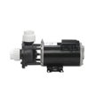 thumbnail image 1 of Gecko Alliance 061250001040 Pompe Flo-Master XP2 4 hp, 230V - Double, 1 of 1