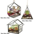 thumbnail image 3 of D'Eco Glass Geometric Plant Terrarium 3Pk - Hanging Brass Triangle, House & Prism Planters - Succulents, Air Plants, Moss - Home, Wedding & Office Decor- Gift Idea for Plant Lovers, 3 of 5