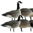 thumbnail image 2 of Avian X Lessers 6 Piece Fusion Pack for Hunting Purposes and Outdoor Sports, 2 of 3