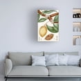 thumbnail image 3 of Turpin 'Turpin Tropical Fruit II' Canvas Art, 3 of 3