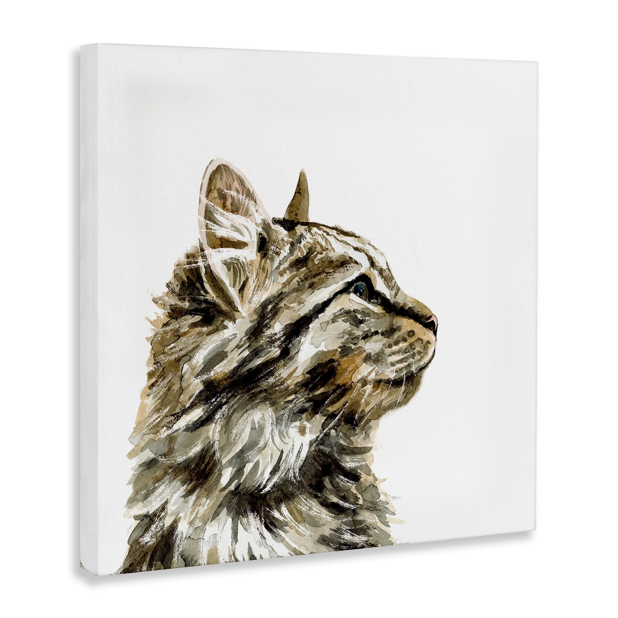 Stupell Industries Simple Tabby Cat Gaze Family Pet Portrait Designed by Victoria Barnes