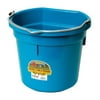 API 5 gal. Heated Bucket For Livestock
