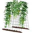 thumbnail image 3 of Slsy A-Frame Cucumber Trellis - Steel Plant Support for Climbing Plants, 3 of 8