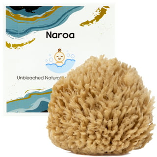 Natural Sea Sponge - Plastic Free Organic Sea Sponge: Grass Sponge