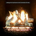 thumbnail image 6 of 18" Heavy-Duty Dual Row Gas Burner with Deluxe Kit for Vented LP Gas Log Fireplace, 6 of 10
