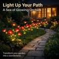 thumbnail image 5 of Rirool Solar Orchid Flower Garden Stake Lights, 7 Heads Warm White Solar Lights Outdoor Waterproof, Decorative Lights for Yard Lawn Patio Pathway, Red 2 Pack, 5 of 8