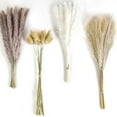 thumbnail image 3 of Boho Style Decorative Bouquet 50-Piece Dried Flower Set Natural Pampa Dried Flower Bouquet Wedding Party Decoration Home Decoration Dried Flowers White 38*3*3cm Hare Tail, 3 of 5