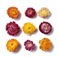 thumbnail image 2 of Dried Flowers DIY Candle Soap Making Accessories with Plastic Rectangle Box Mixed Color Mixed Color 2.1~4x2.7~4.4cm, 2 of 2