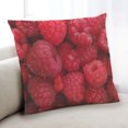 thumbnail image 1 of Ahgly Company Foods Raspberry Coussin Intérieur, 18 Pouces par 18 Pouces, 1 of 6