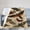 50x40, variant on Moth Insect Throw Blanket Moth Gifts for Women Men Adults Soft Flannel Fleece Blanket for Couch Sofa ​Bed Home Decor 50x40