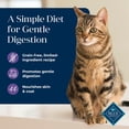 thumbnail image 4 of Blue Buffalo Basics Dry Cat Food Skin & Stomach, Turkey & Potato, Chicken Free, 5lb Bag, 4 of 12