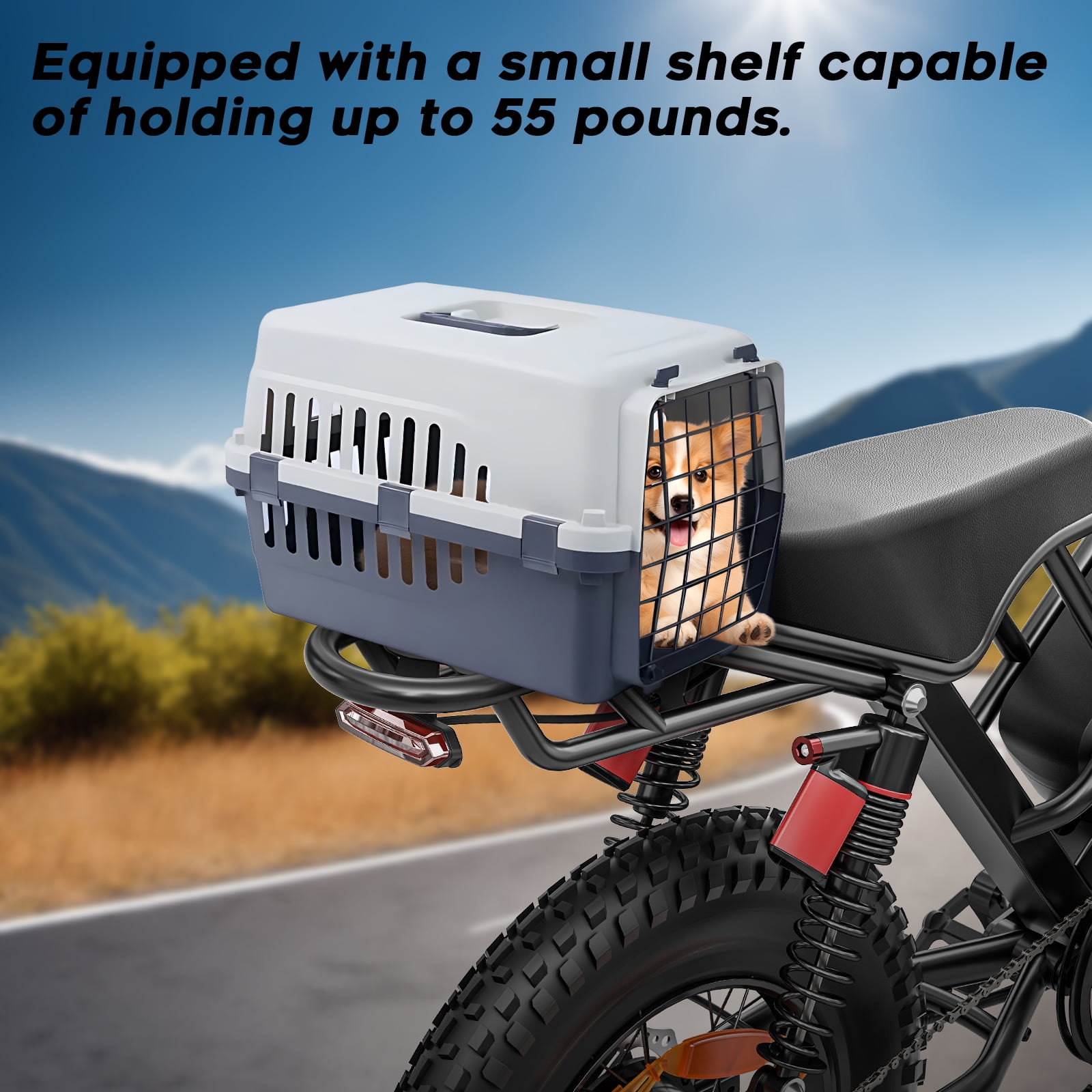 SPACEWALK Electric Bike for Adults, 750W Motor, 20"x4" Fat Tires, 25mph Top Speed, 48V 15Ah Removable Battery, Dual Front & Rear Suspension for Smooth Riding, for gift