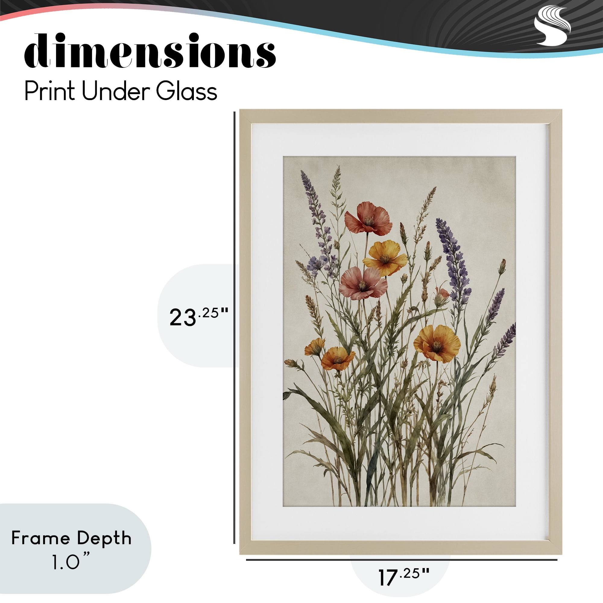 Stupell Industries Vintage Collection of Meadow Botanicals Birch Framed Print Under Glass, design by Nataly White