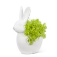 thumbnail image 1 of Planteur en Forme de Lapin Blanc, 1 of 1