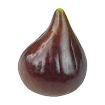 Ikeay Realistic Artificial Kiwi Fruit Decoration, Plastic Tabletop Display Prop for Home, Kitchen, Store Cabinet, Photography And Party Decor