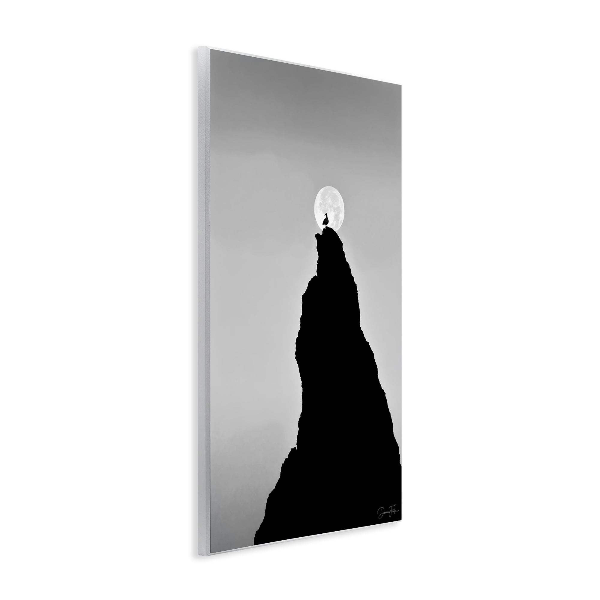 Stupell Industries Bird Silhouette on Peak Landscape Photography Unframed Art Print Wall Art, 13 x 19