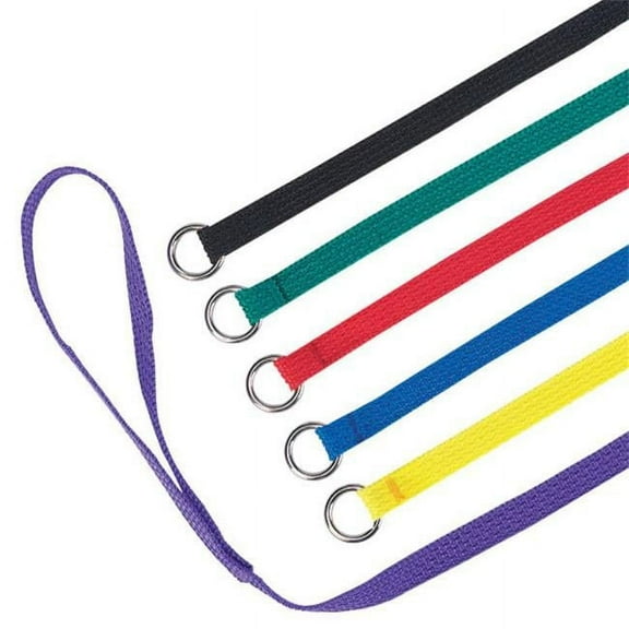 Guardian Gear 6-Feet Nylon Dog Kennel Lead, 6-Pack, Colors Vary