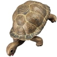 thumbnail image 5 of Plastic Turtle Model for Decor with Brown PVC Tortoise Educational Toy, 5 of 5