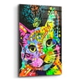 thumbnail image 2 of Epic Art 'Tilt Cat Butterfly' by Dean Russo Studios, Acrylic Glass Wall Art, 16"x24", 2 of 8