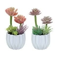 thumbnail image 1 of uds simulación suculentas bonsái adornos creativos plantas artificiales decoración interior, 1 of 5