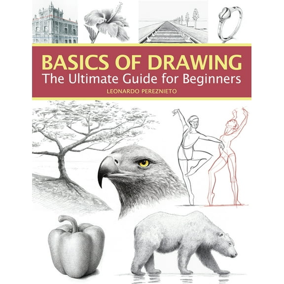 Basics of Drawing: The Ultimate Guide for Beginners, (Paperback)