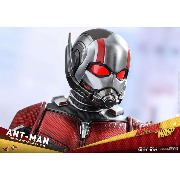 Ant-Man Sixth Scale Figure by Hot Toys