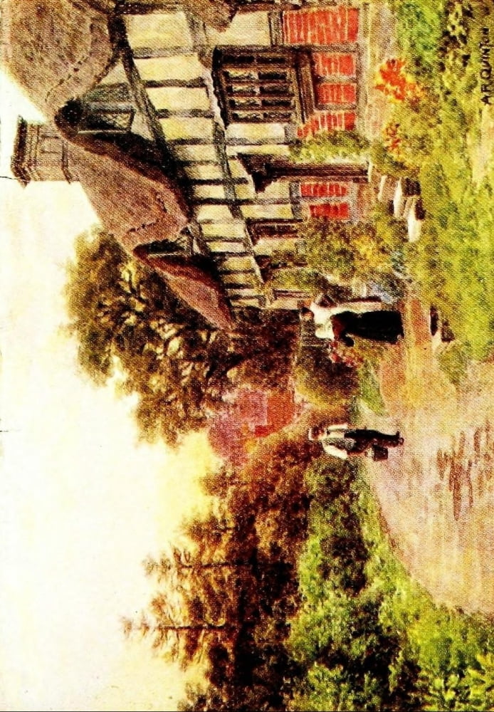 The Avon And Shakes