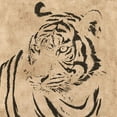 thumbnail image 2 of Prime, Marcus 15x15 White Modern Wood Framed Museum Art Print Titled - Parchment Tiger 1, 2 of 4