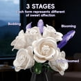 thumbnail image 3 of Ramo de rosas blancas APENGBAOL de 256 piezas con florero, 3 of 7
