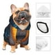 thumbnail image 3 of Balery Vintage Blue Leaf Mushroom Sudadera con Capucha para Perros Pequeños – Ropa para Mascotas, Disfraz para Perros y Gatos, Ideal para Fiestas y Cosplay-X-Large, 3 of 7