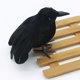 thumbnail image 2 of 1/3/6 Animal modelo pluma simulación negro cuervo adornos decoraciones de Halloween, 2 of 3