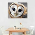 thumbnail image 2 of COMIO  Canvas Print Wall Art White Owl with Twisted Head Animals Wildlife Photography Realism Rustic Portrait Relax/Calm Cool for Living Room, Bedroom, Office, 2 of 4