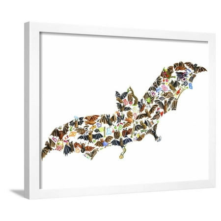 Bat Framed Print Wall Art By Louise Tate