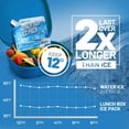 thumbnail image 2 of Everlasting Ice RX Reusable Ice Packs for Lunch Boxes, Non-Toxic Ice Packs with Long-Lasting Cold, 7.5” x 7.5“, 4-Pack, 2 of 6